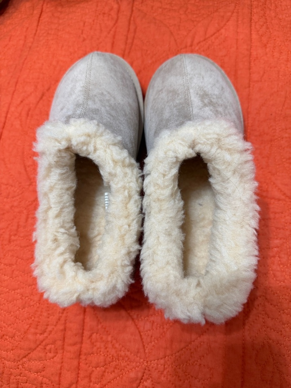 Cozy Women's Shearling-Lined Slippers tan with cream  inside size 8